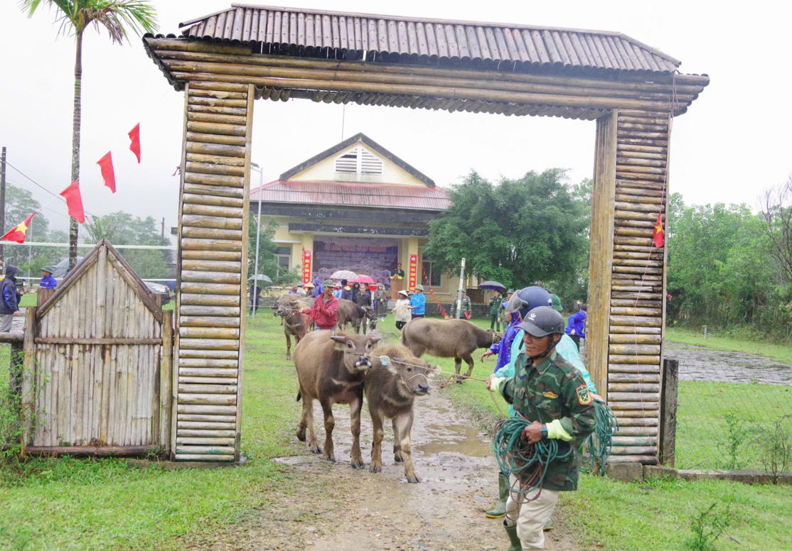 Niềm vui của bà con vùng biên A Lưới 4